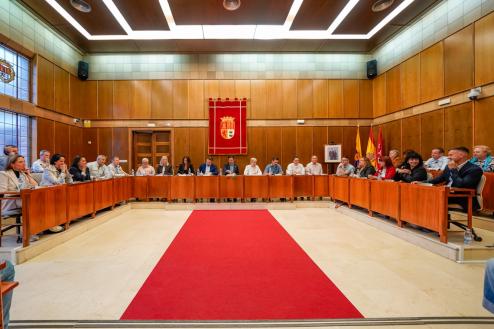Pleno del Ayuntamiento de Torrejón de Ardoz