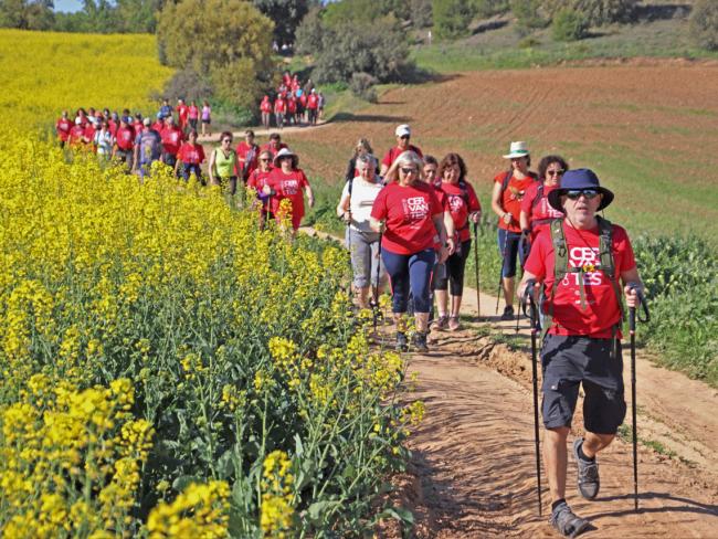 Los participantes realizando una de las etapas del popular Camino de Cervantes