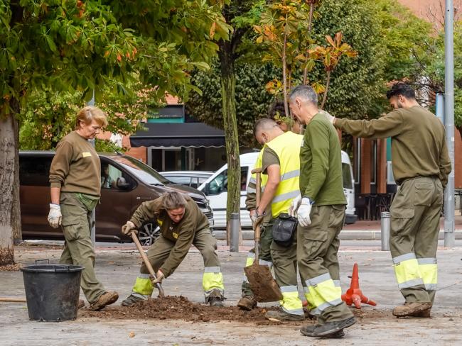  Plantación de 120 nuevos árboles en la avenida Unión Europea con motivo del Día Internacional Contra el Cambio Climático 