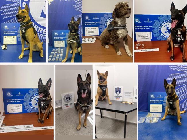 La Unidad Canina de la Policía Local de Torrejón de Ardoz se ha incautado en las últimas semanas de sustancias estupefacientes en varias zonas de la ciudad