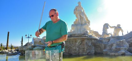 Imagen no disponible