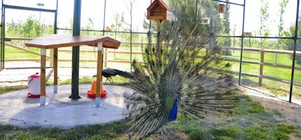 Imagen no disponible