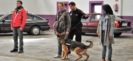 Imagen no disponible