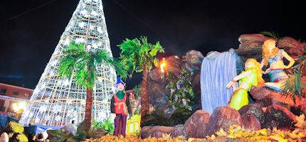 Imagen no disponible