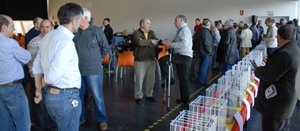 Imagen no disponible