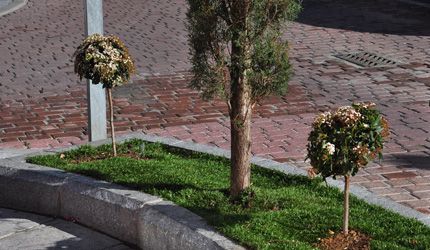 Imagen no disponible