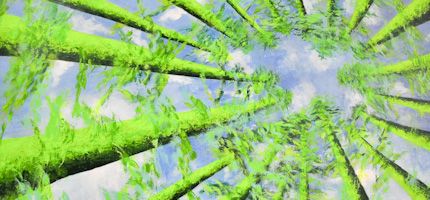 Imagen no disponible