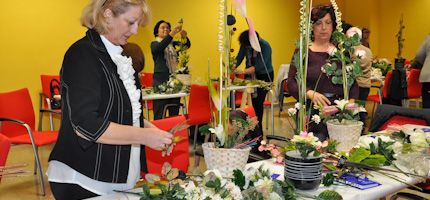 Imagen no disponible